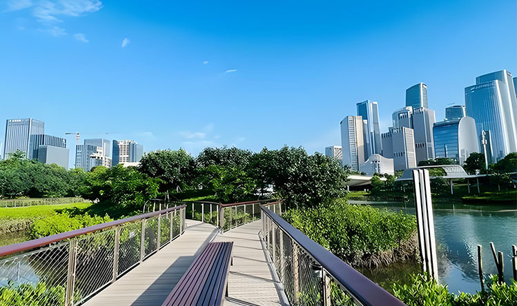 2026中国至海外代购市场白皮书-金蚁编委会