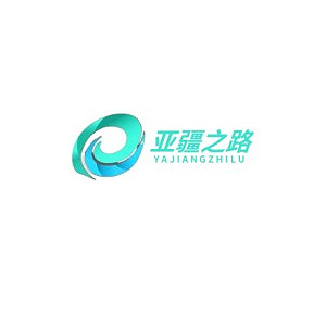 中亚集运系统客户案例
