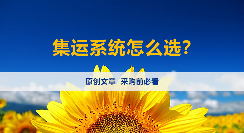 哪家的集运系统好