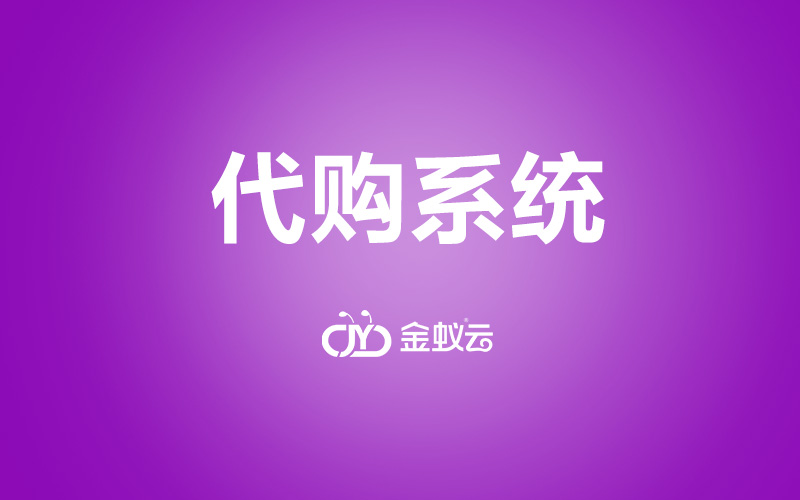 代购网站建设